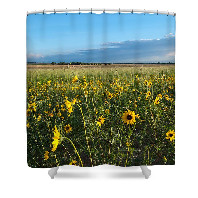 Landscape Photograph Shower Curtain featuring the photograph Colorado Evening Meadow Landscape by Cascade Colors