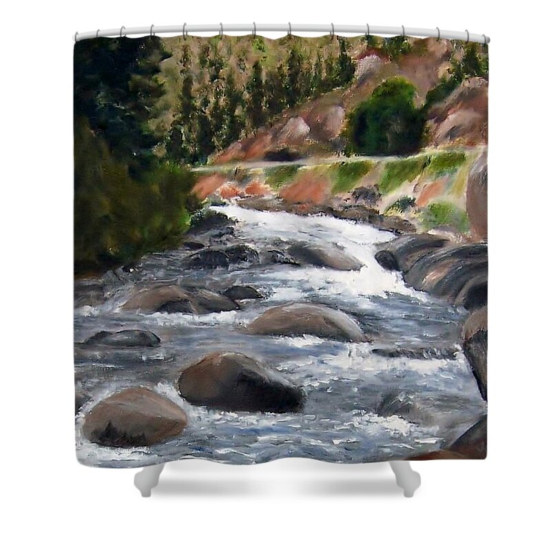 Water Shower Curtain featuring the painting Colorado Rapids by Jamie Frier