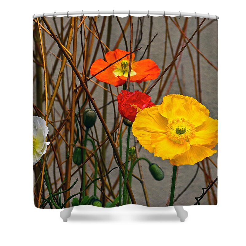 Red Yellow Orange White Poppies Shower Curtain featuring the photograph Colorful Poppies And White Willow Stems by Byron Varvarigos