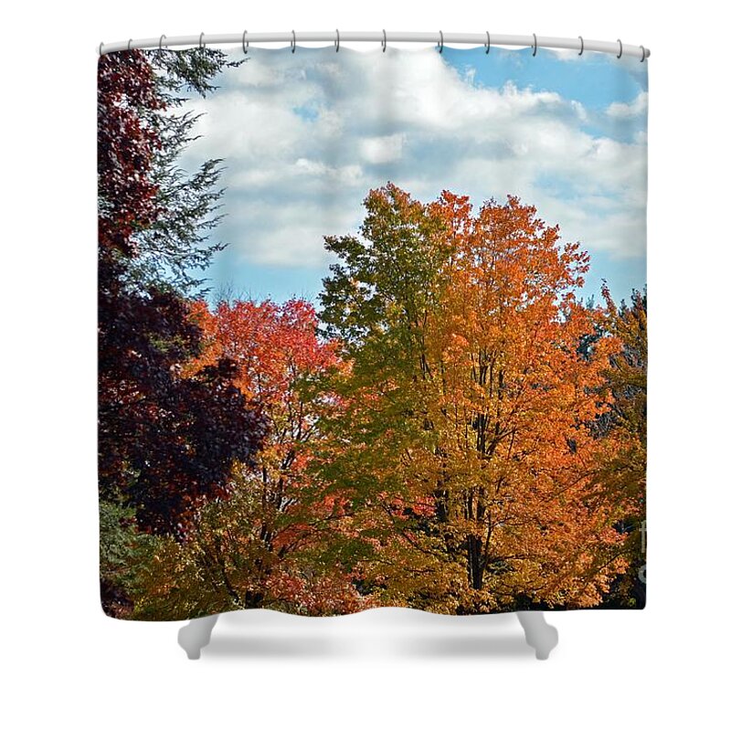 Tree Shower Curtain featuring the photograph Colors Of Fall by Judy Wolinsky