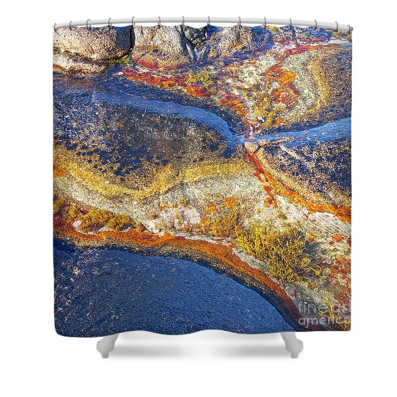 Lichen Shower Curtain featuring the photograph Colors on rock I by Heiko Koehrer-Wagner