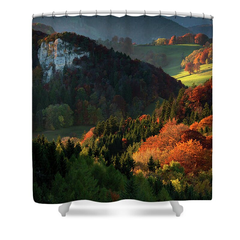 Tranquility Shower Curtain featuring the photograph Colourful Forest In Autumn In Northern by Sa*ga Photography