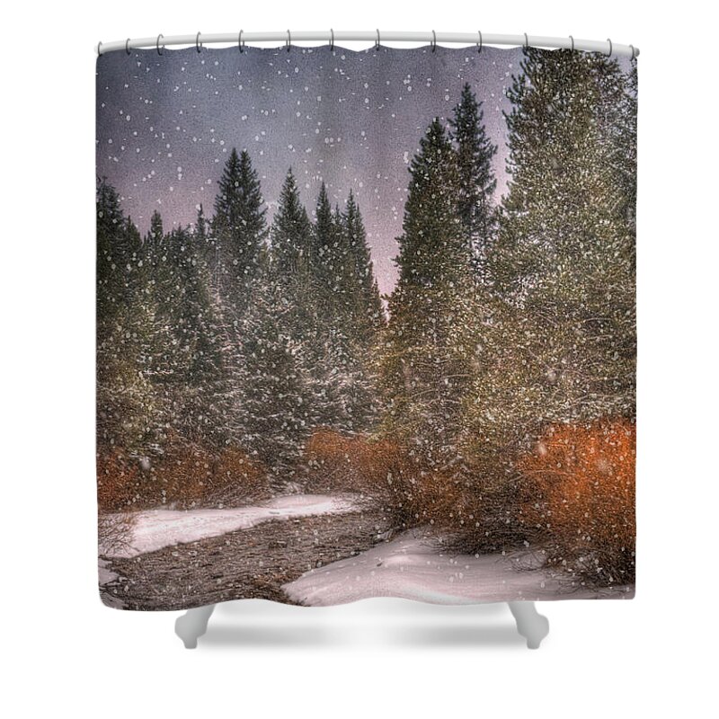 Beautiful Shower Curtain featuring the photograph Colours of Winter by Juli Scalzi