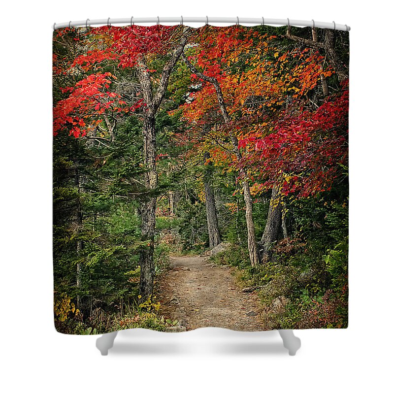 Autumn Shower Curtain featuring the photograph Come Walk with Me by Priscilla Burgers