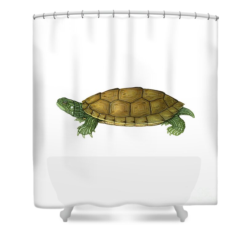 Common Map Turtle Shower Curtain featuring the photograph Common Map Turtle by Carlyn Iverson