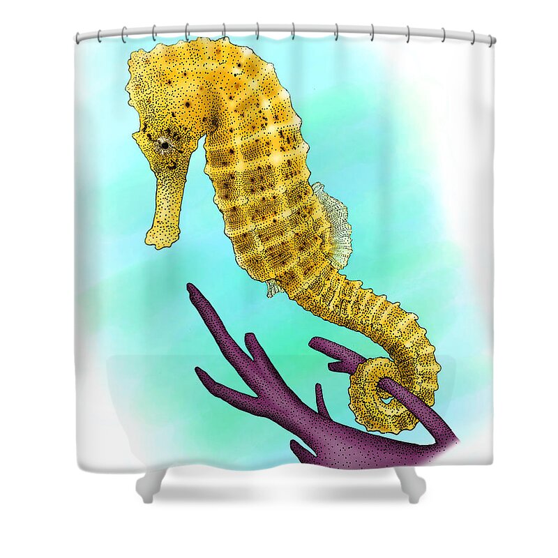 Illustration Shower Curtain featuring the photograph Common Seahorse by Roger Hall