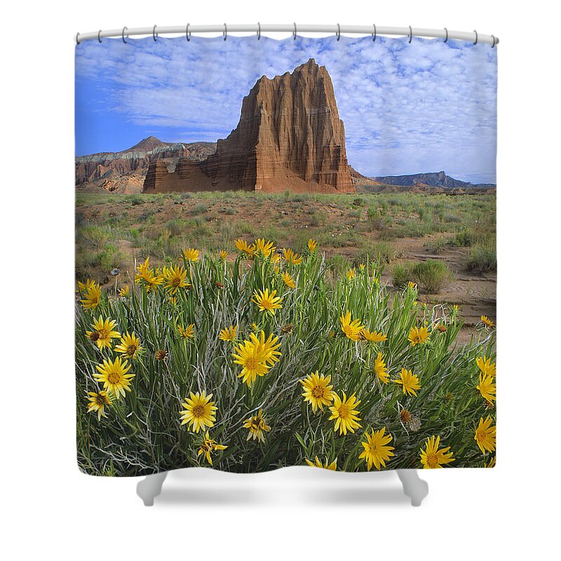 00175971 Shower Curtain featuring the photograph Common Sunflowers and Temple of the Sun by Tim Fitzharris