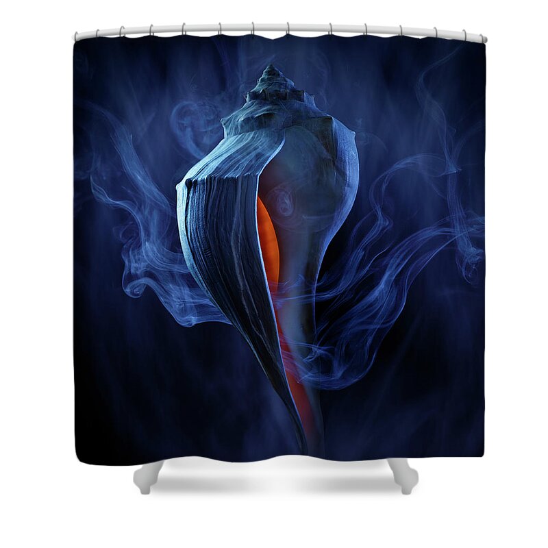 Tranquility Shower Curtain featuring the photograph Conch Shell by Jack Andersen