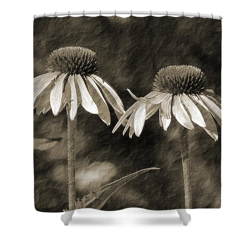 Coneflower Shower Curtain featuring the photograph Coneflower Couple Re-Imagined by David T Wilkinson