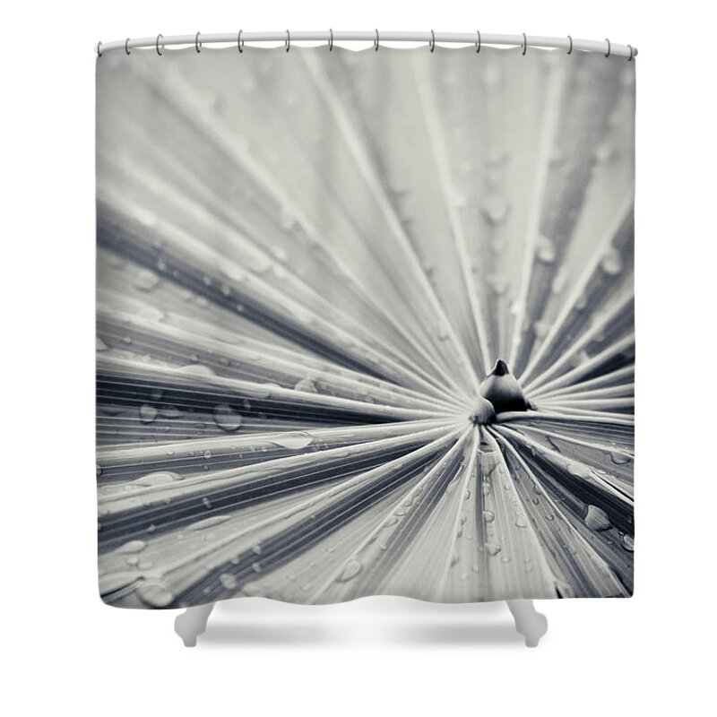 3scape Photos Shower Curtain featuring the photograph Convergence by Adam Romanowicz