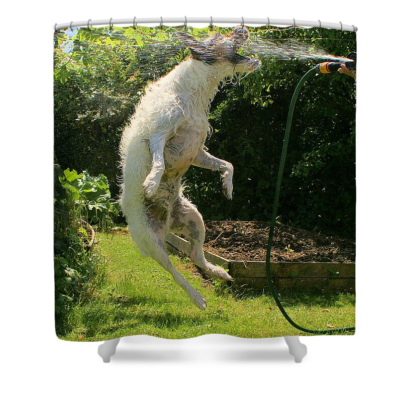 Dog Shower Curtain featuring the digital art Cool dog by Ron Harpham