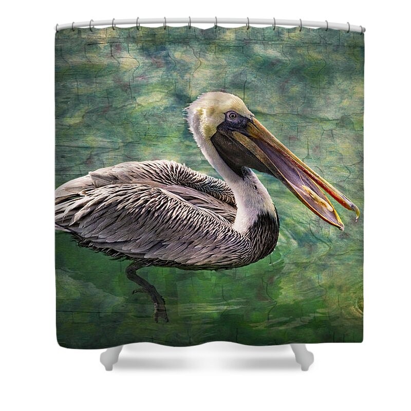 Animals Shower Curtain featuring the photograph Cool Waters by Debra and Dave Vanderlaan