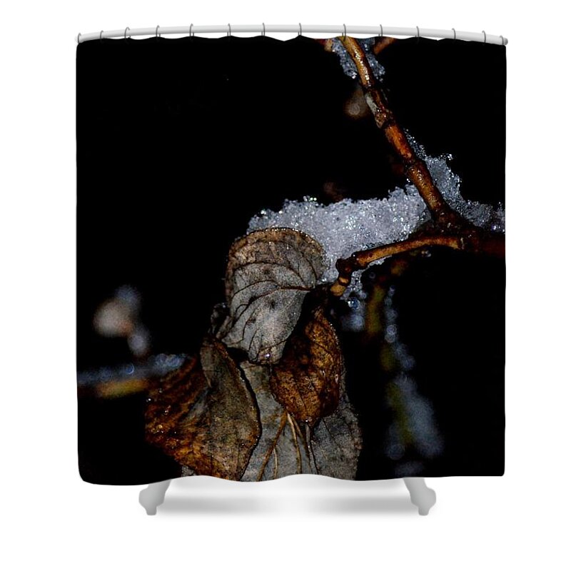 Copper Leaf Crystals Shower Curtain featuring the photograph Copper Leaf Crystals by Maria Urso