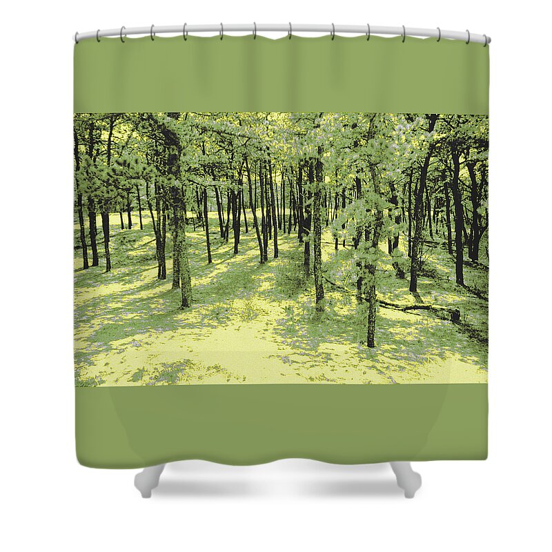 Glowing Shower Curtain featuring the photograph Copse of Trees Sunlight by Tom Wurl