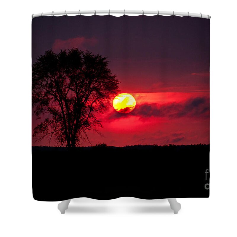 Sunsets Shower Curtain featuring the photograph Could be in Africa by Cheryl Baxter