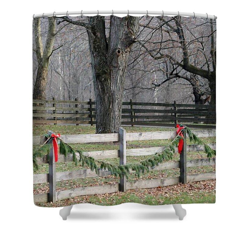 Rural Shower Curtain featuring the photograph Country Christmas by Living Color Photography Lorraine Lynch
