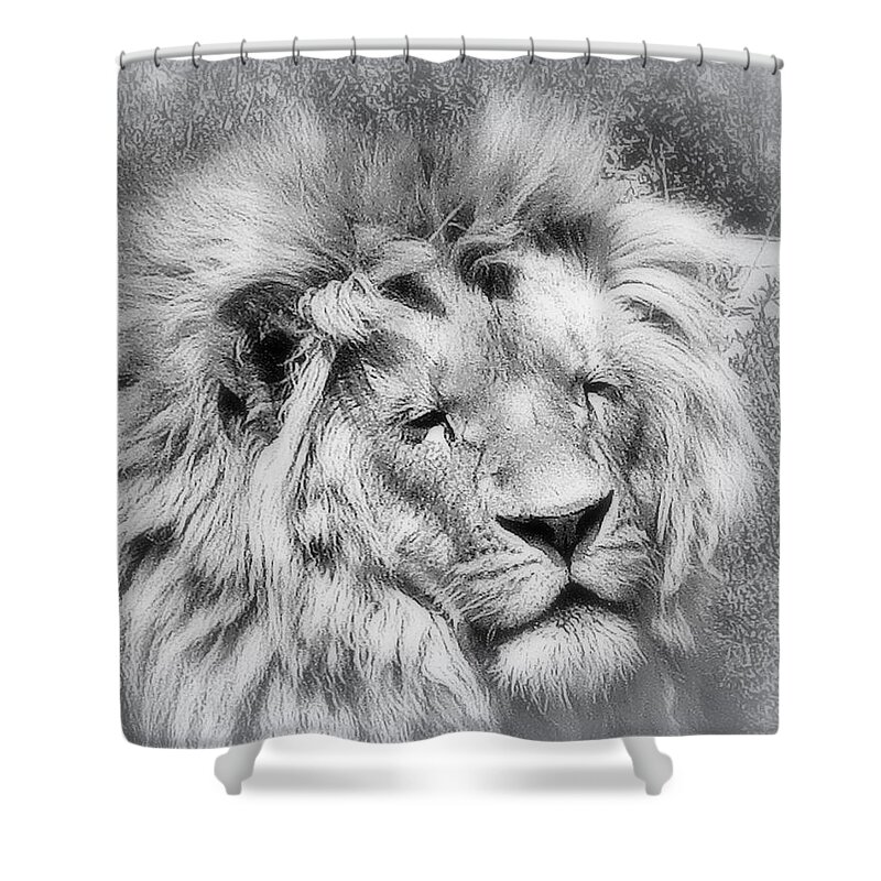 Lion Shower Curtain featuring the photograph Courage by Karen Shackles