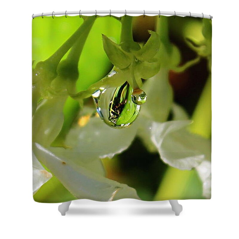 Psalm 91:4 Shower Curtain featuring the photograph Cover Me by Kume Bryant