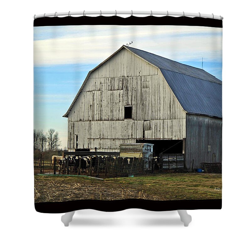 Barn Shower Curtain featuring the photograph Cow Barn in Silver by PJQandFriends Photography