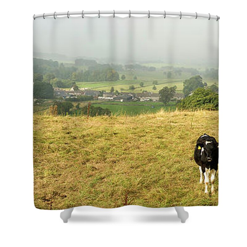 Grass Shower Curtain featuring the photograph Cows by Steve Fedun