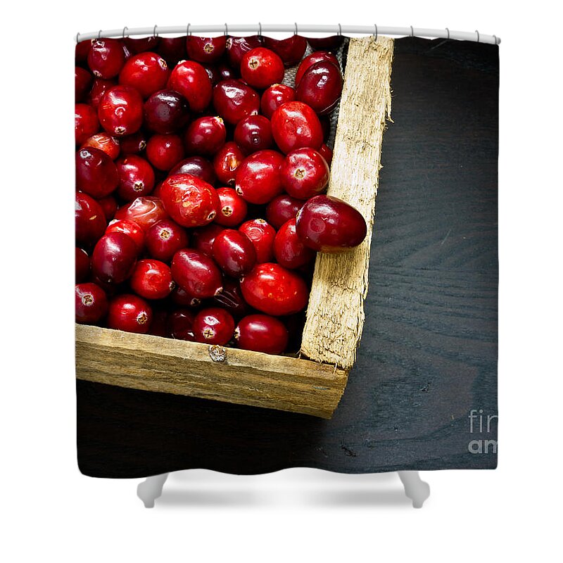 Red Shower Curtain featuring the photograph Cranberries by Edward Fielding