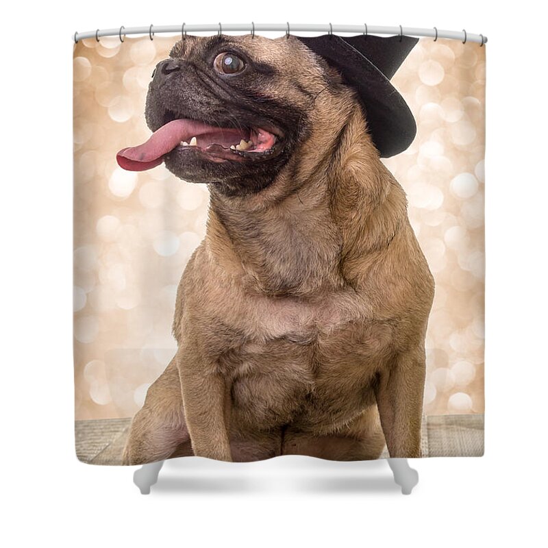 New Years Shower Curtain featuring the photograph Crazy Top Dog by Edward Fielding