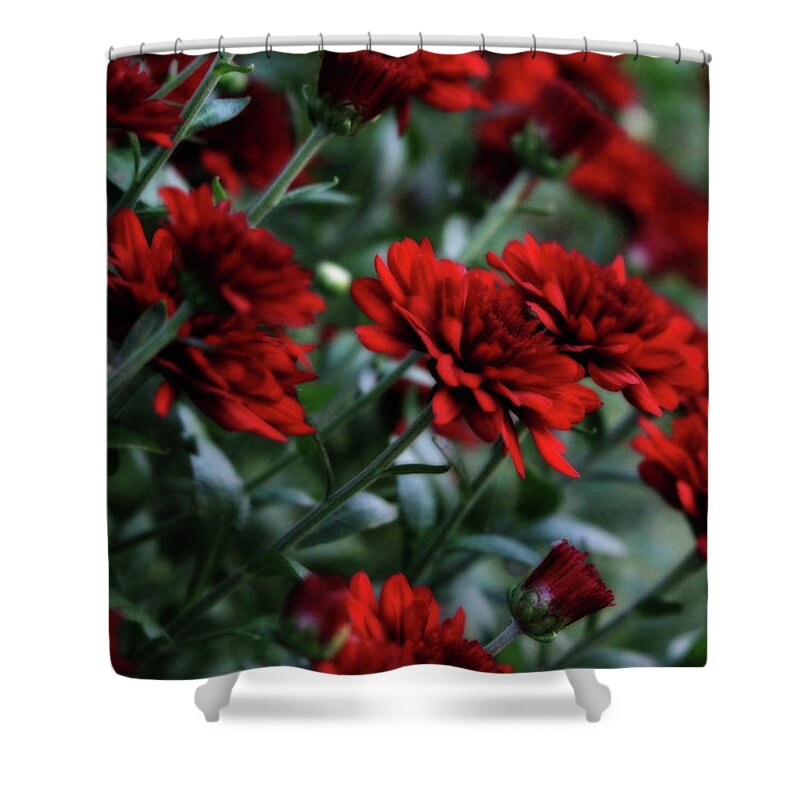 Crimson Shower Curtain featuring the photograph Crimson and Clover by Shelley Neff