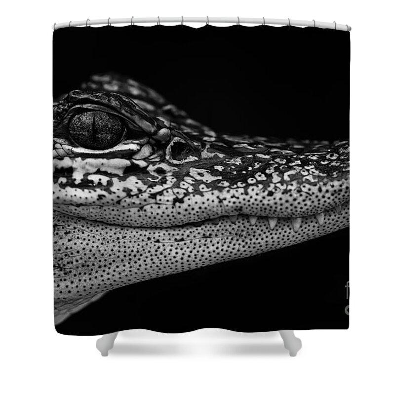 Crock's Look Black And White Shower Curtain by Ben Yassa - Pixels Merch