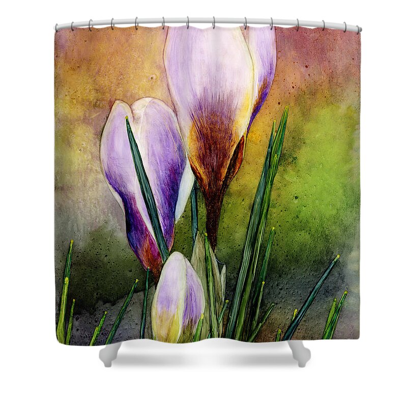 Crocus Shower Curtain featuring the painting Crocus by Hailey E Herrera