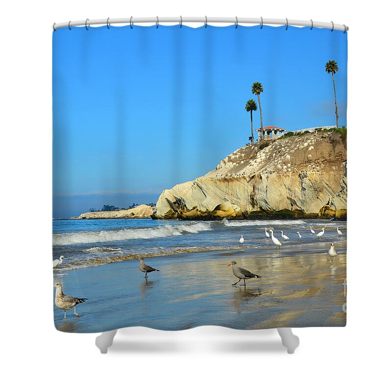Pismo Beach Shower Curtain featuring the photograph Crowded Beach by Debra Thompson