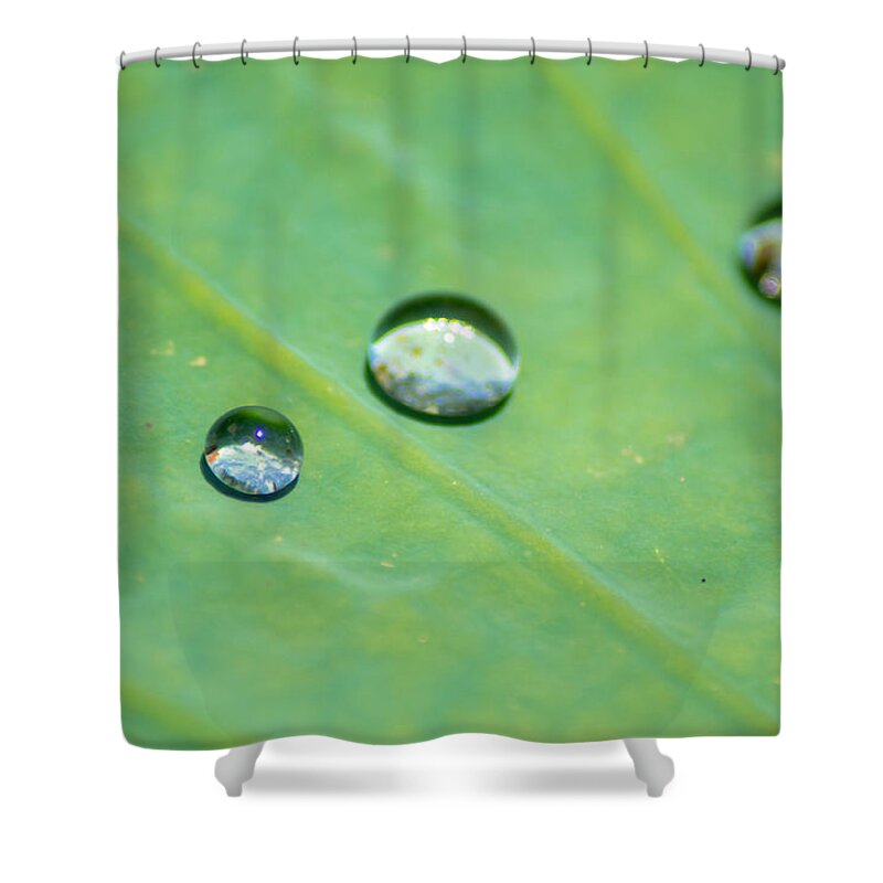 Drop Shower Curtain featuring the photograph Crystal Ball by Shannon Harrington