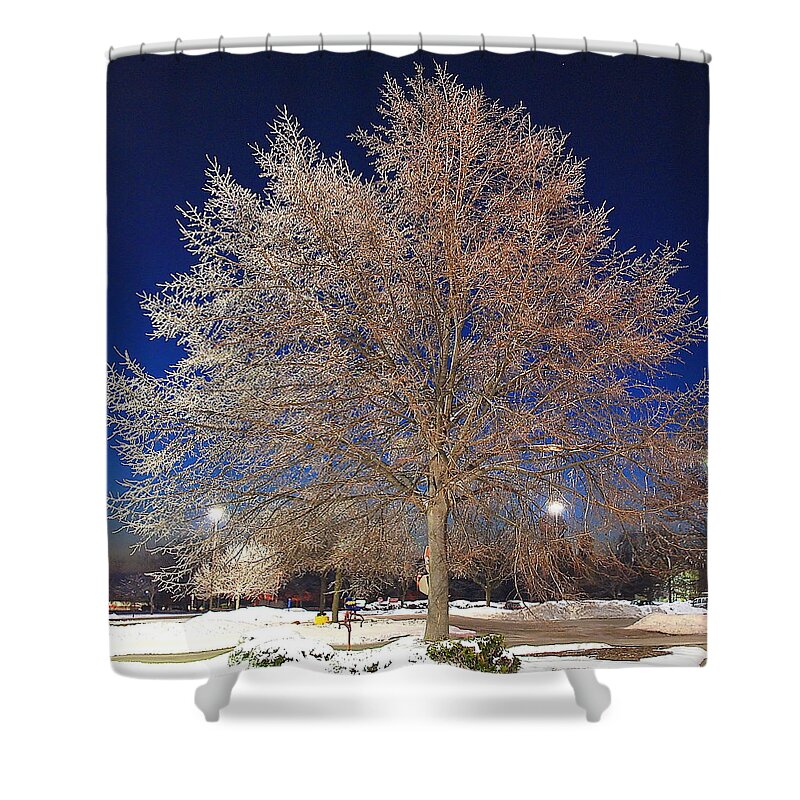 Crystal Shower Curtain featuring the photograph Crystal Tree by Frozen in Time Fine Art Photography