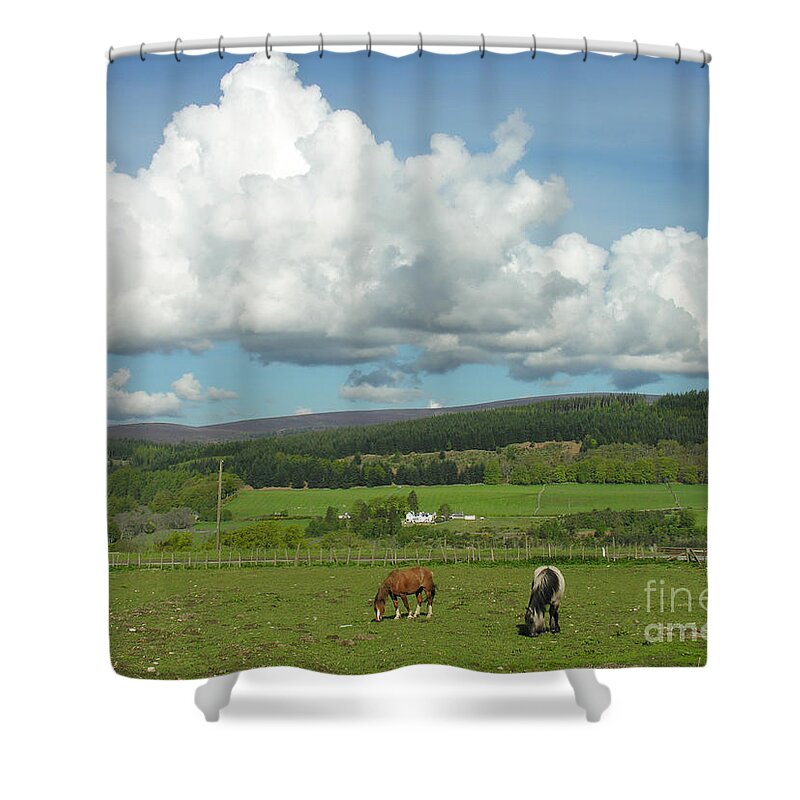 Cumulus Shower Curtain featuring the photograph Cumulus Clouds in June by Phil Banks