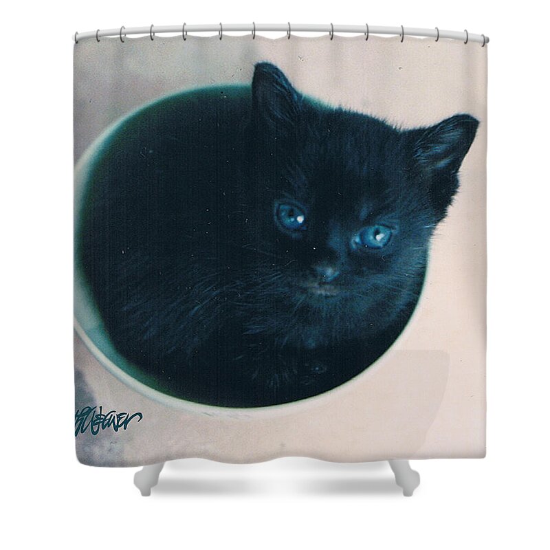 Cat Shower Curtain featuring the photograph Cup O'Kitty by Seth Weaver