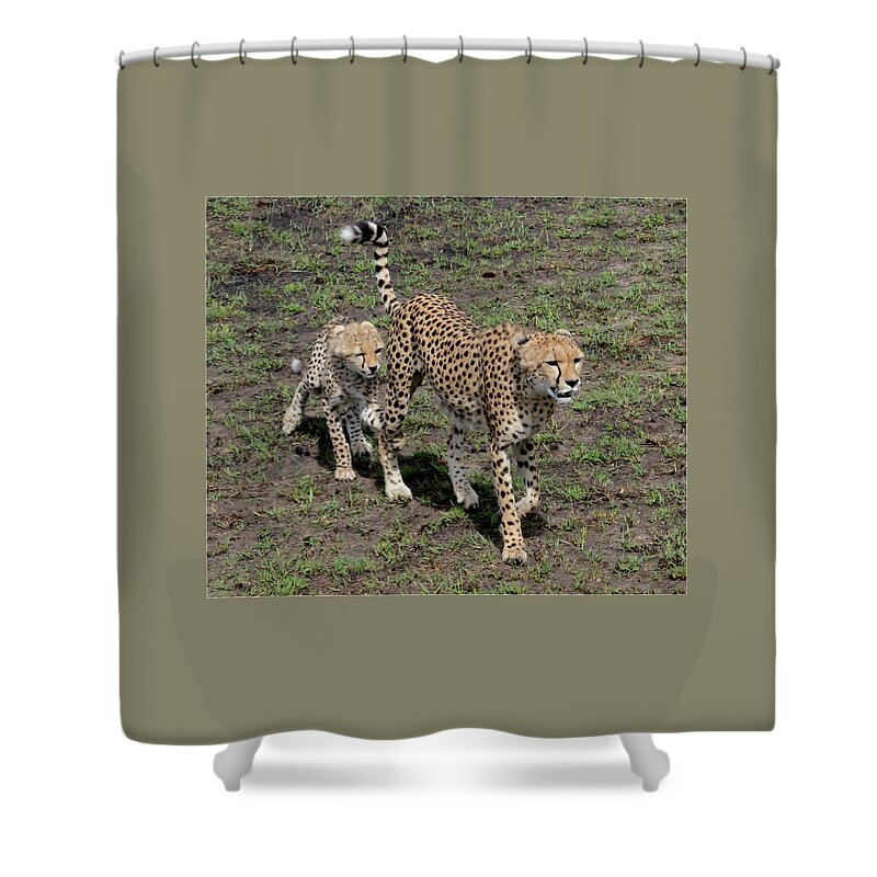 Nurturing Shower Curtain featuring the photograph Cute Cheetah Wait for Me Mommy by Tom Wurl