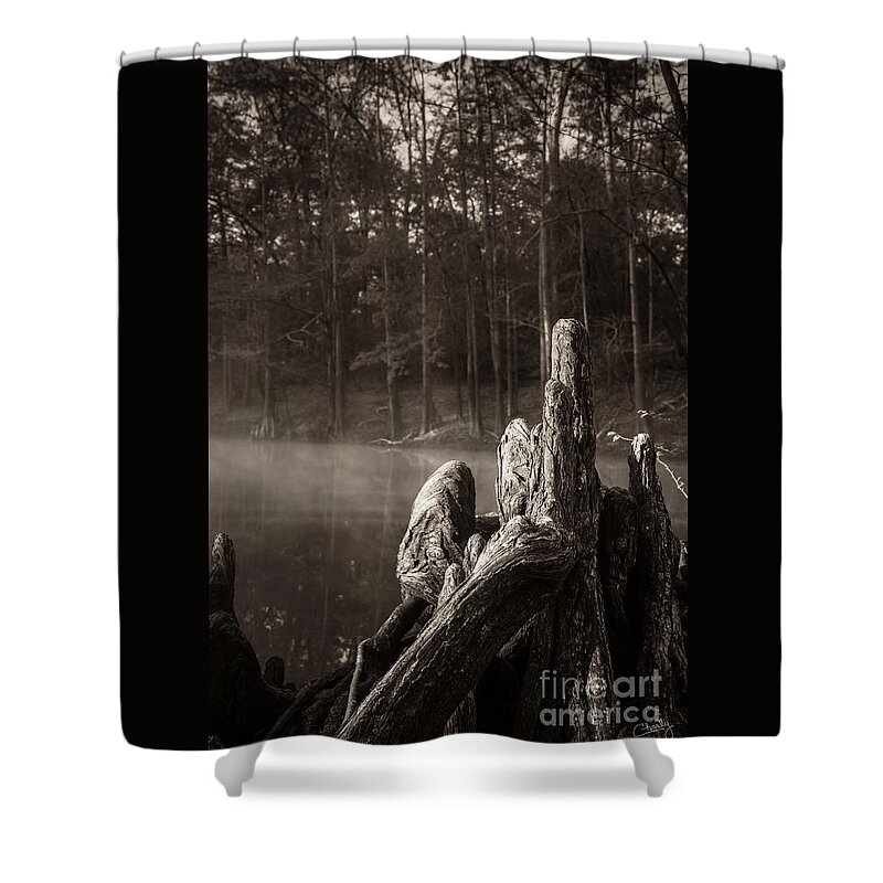 Cypress Knees Shower Curtain featuring the photograph Cypress Knees in Sepia by Imagery by Charly