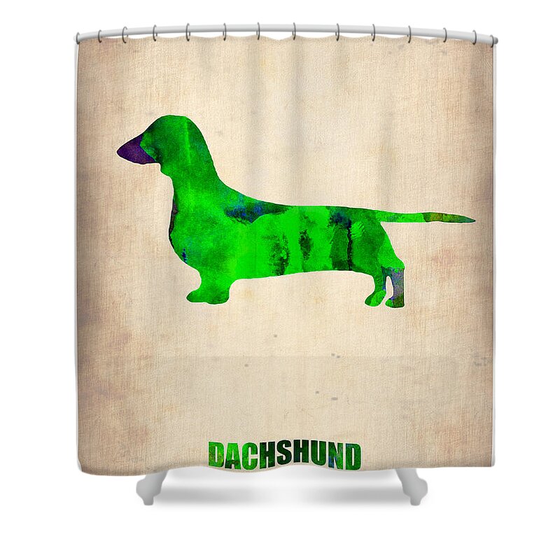 Dachshund Shower Curtain featuring the painting Dachshund Poster 1 by Naxart Studio