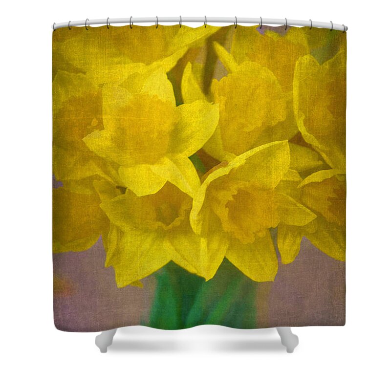 Floral Shower Curtain featuring the photograph Daffodils 10 by Pamela Cooper