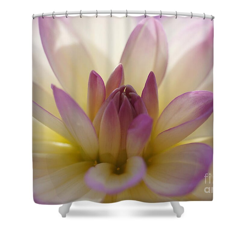Nature Shower Curtain featuring the photograph Dahlia 1 by Rudi Prott
