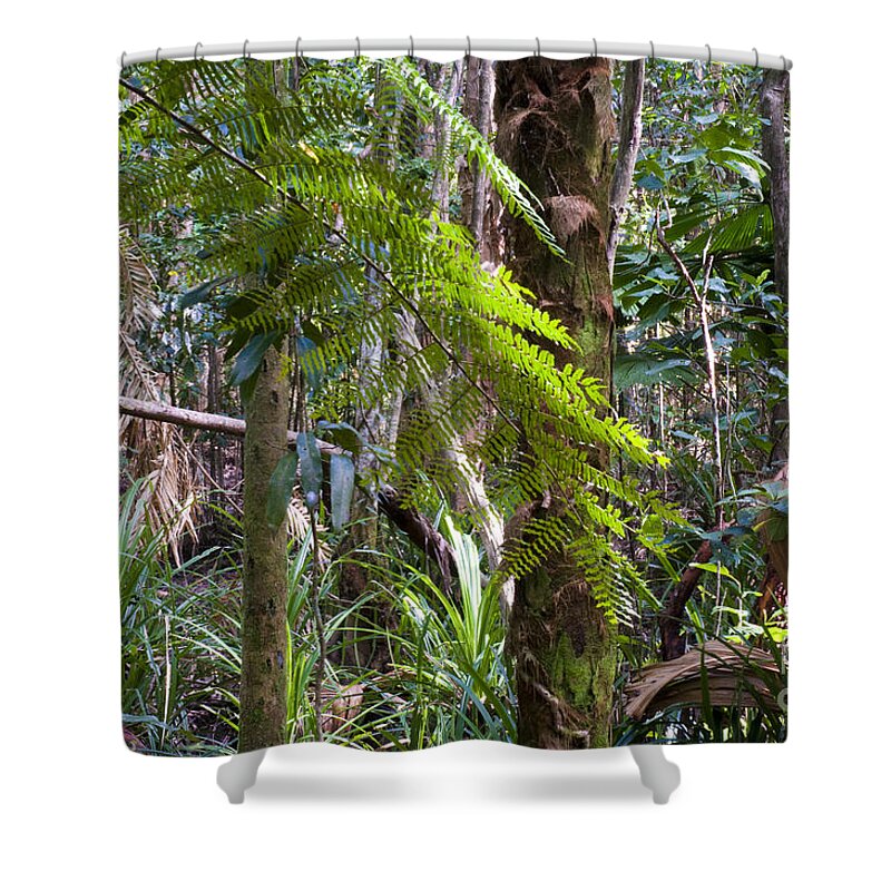 Daintree Rainforest Shower Curtains