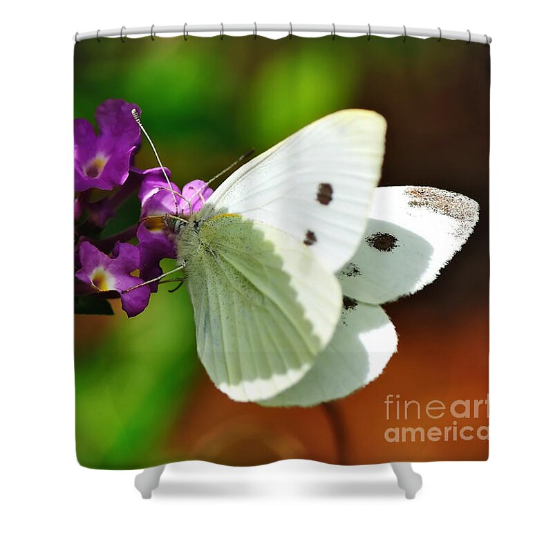 Photography Shower Curtain featuring the photograph Dainty Butterfly by Kaye Menner