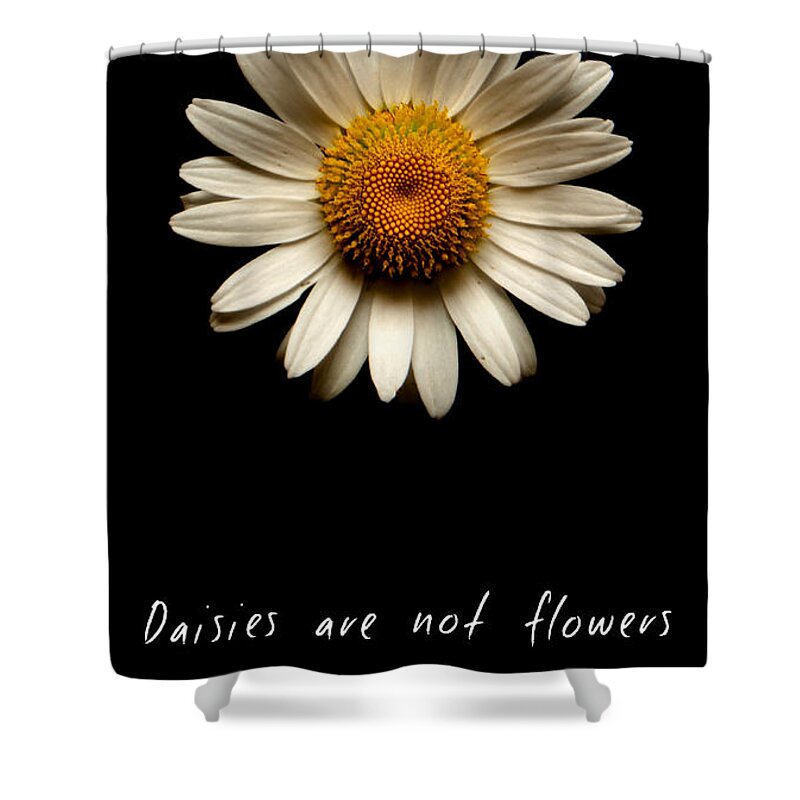 Daisies Are Not Flowers Shower Curtain featuring the photograph Daisies are not flowers by Weston Westmoreland