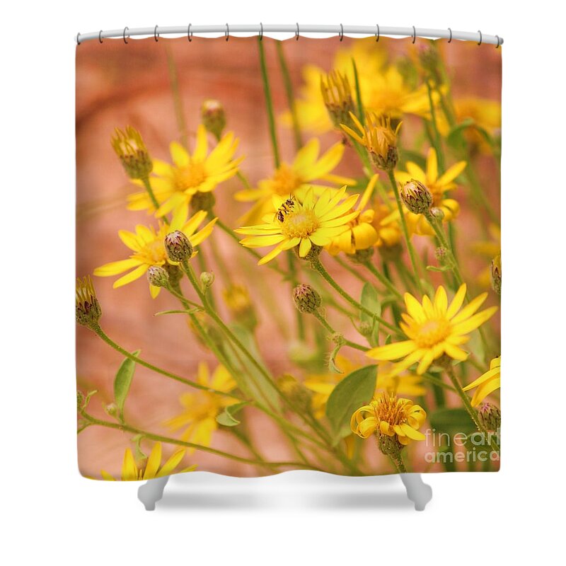 Daisy Shower Curtain featuring the photograph Daisy a day series by Julie Lueders 