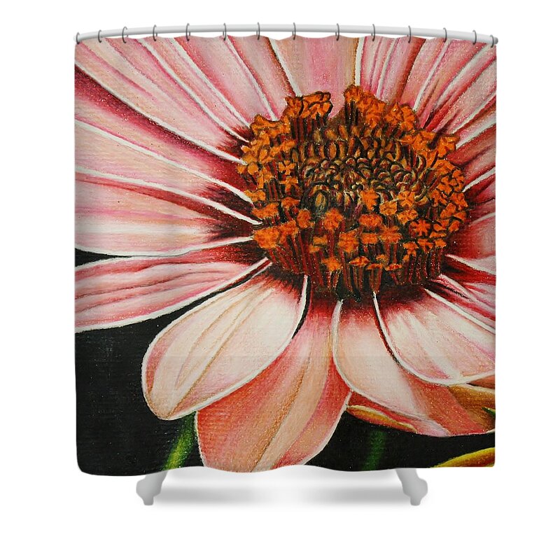 Flora Shower Curtain featuring the drawing Daisy in Pink by Bruce Bley