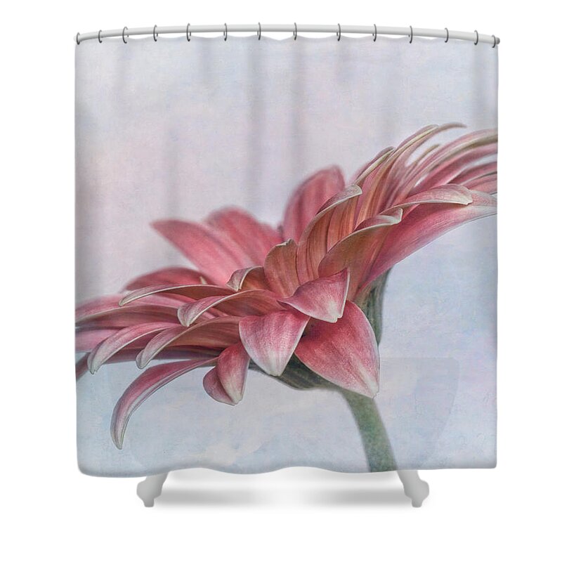 Bloom Shower Curtain featuring the photograph Daisy Profile by David and Carol Kelly