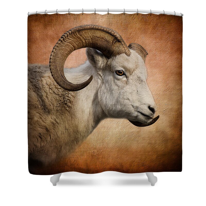 Dall Portrait Shower Curtain featuring the photograph Dall Portrait by Wes and Dotty Weber