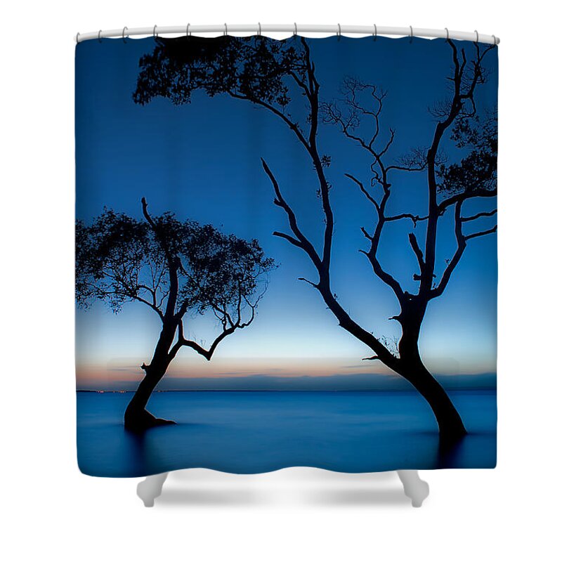 2012 Shower Curtain featuring the photograph Dancing Mangroves by Robert Charity