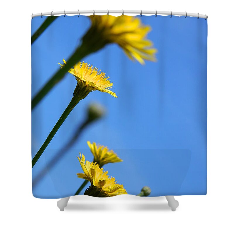 Flower Shower Curtain featuring the photograph Dancing with the flowers by Andrea Anderegg