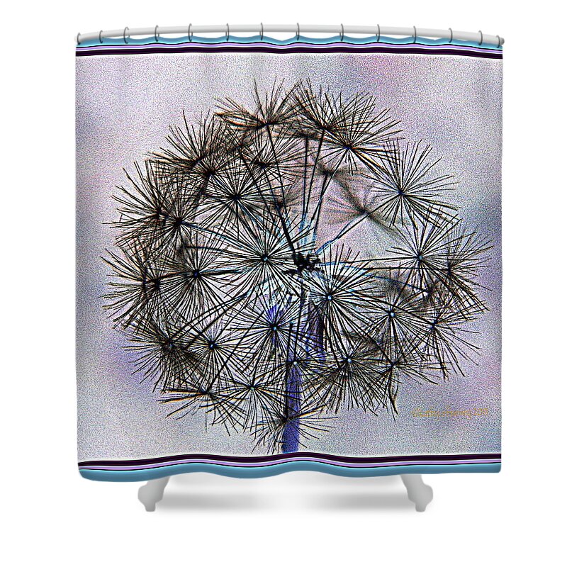 Dandelion Shower Curtain featuring the photograph Dandelion Blue and Purple by Kathy Barney