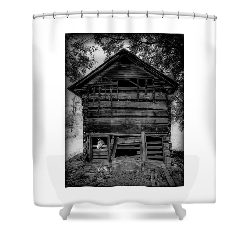 Rustic Cabins Shower Curtain featuring the photograph Daniel Boone Cabin by Karen Wiles